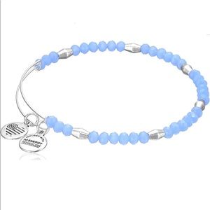 Nautical Bangle Periwinkle Blue/Silver Bracelet